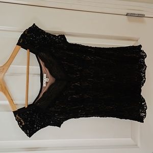 CAbi lace short sleeve blouse size M